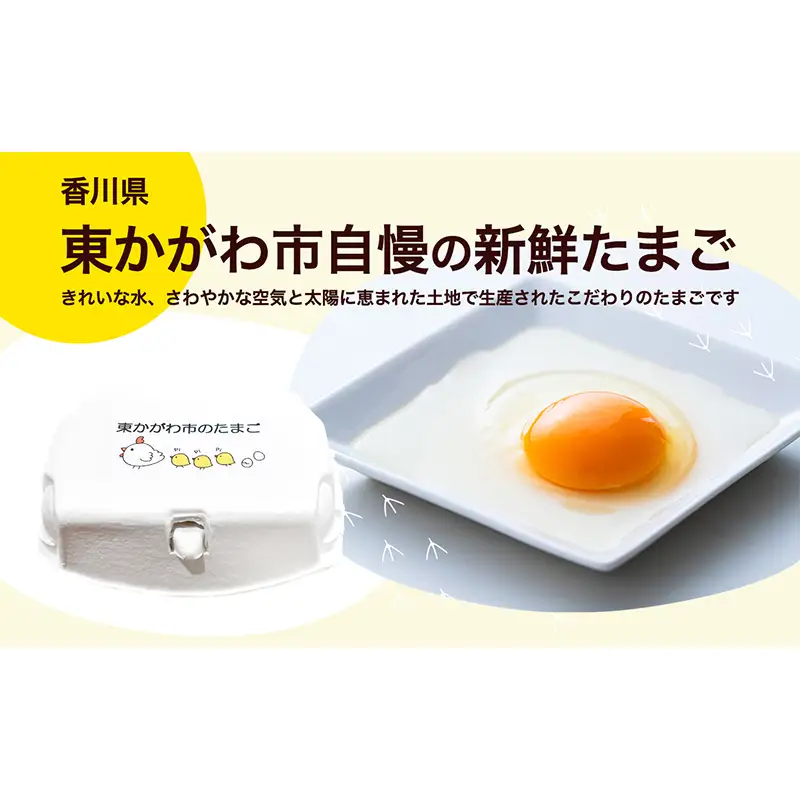 東かがわ市のちょこっと食卓応援品「鶏卵Mサイズ（6個×2P）虹のきらめき（精米2kg）うどん6人前」 たまご 卵 鶏卵 米 精米 うどん セット