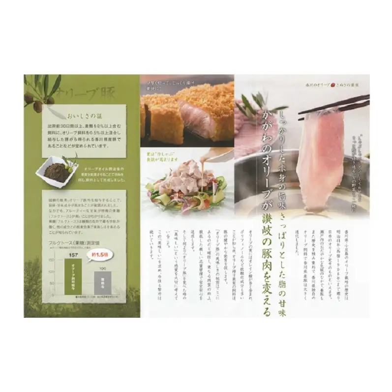 【3回定期便 連続お届け】香川県産オリーブ豚ロース1kg(500g×2p) 豚肉 肉 お肉 香川 香川県 東かがわ市