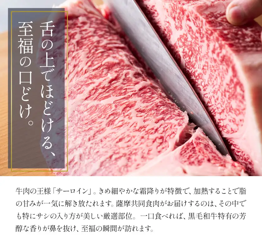 とろける さつま福永牛 サーロインステーキ 800g 有限会社共同食肉