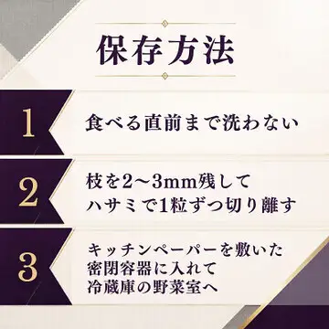 ぶどう 巨峰 葡萄 ブドウ 果物 フルーツ くだもの 2kg 1箱 秋 旬 果汁 甘み 大粒 茨城県産 期間限定 数量限定 【茨城県共通返礼品/かすみがうら市】（107-06）