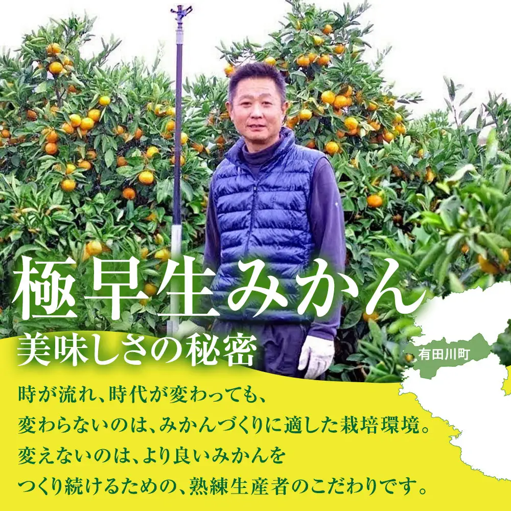 有田みかん専門店 有田の太陽®ファミリー 極早生 有田みかん 4.5kg＋補償分100g 山採れ・サイズ・等級 混合