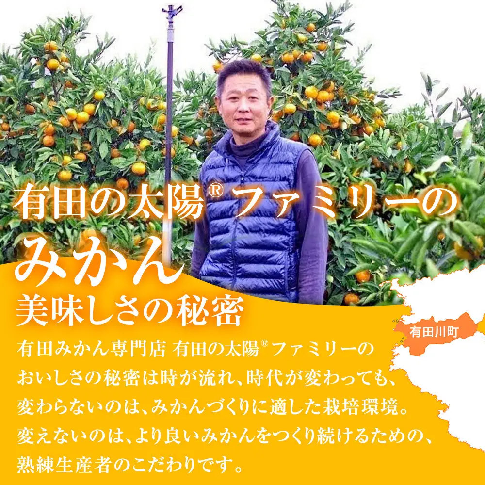有田みかん専門店 有田の太陽®ファミリー 早生または晩生 有田みかん 2.5kg＋補償分100g 山採れ・サイズ・等級 混合