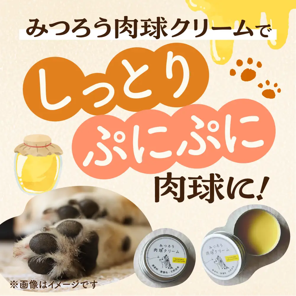 【11月～4月お届け】 国産はちみつ 肉球クリーム 【 60g (30×2) 】 肉球 クリーム ペット 犬 愛犬 グッズ 国産 トチ 百花 はちみつ ハチミツ 蜂蜜 チクマ養蜂 岐阜県産