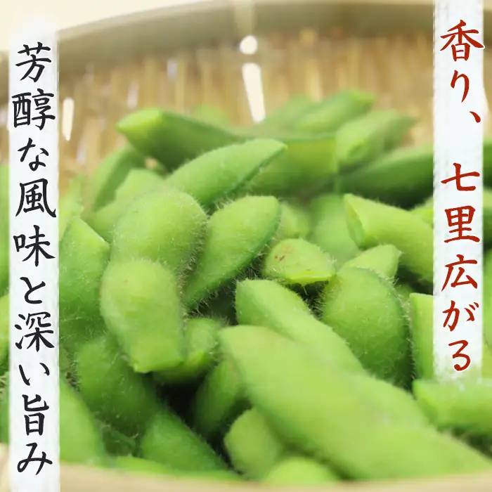 【幻の枝豆】十日限りの収穫！鴨川の伝統品種『鴨川七里』300g ６袋 《数量限定》《期間限定》《10月下旬一斉発送》えだまめ エダマメ 枝豆 在来種 極晩生 在来種 限定生産 農家直送 収穫したて 採れたて [日本ソーラー発電][0010-0370]