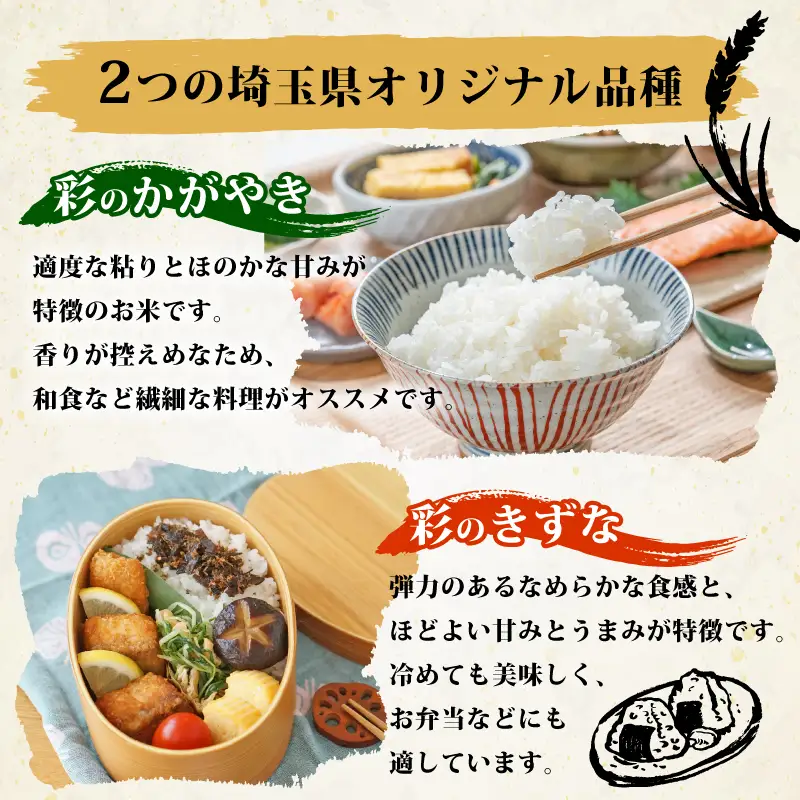 米 10kg 精米 彩のきずな 米