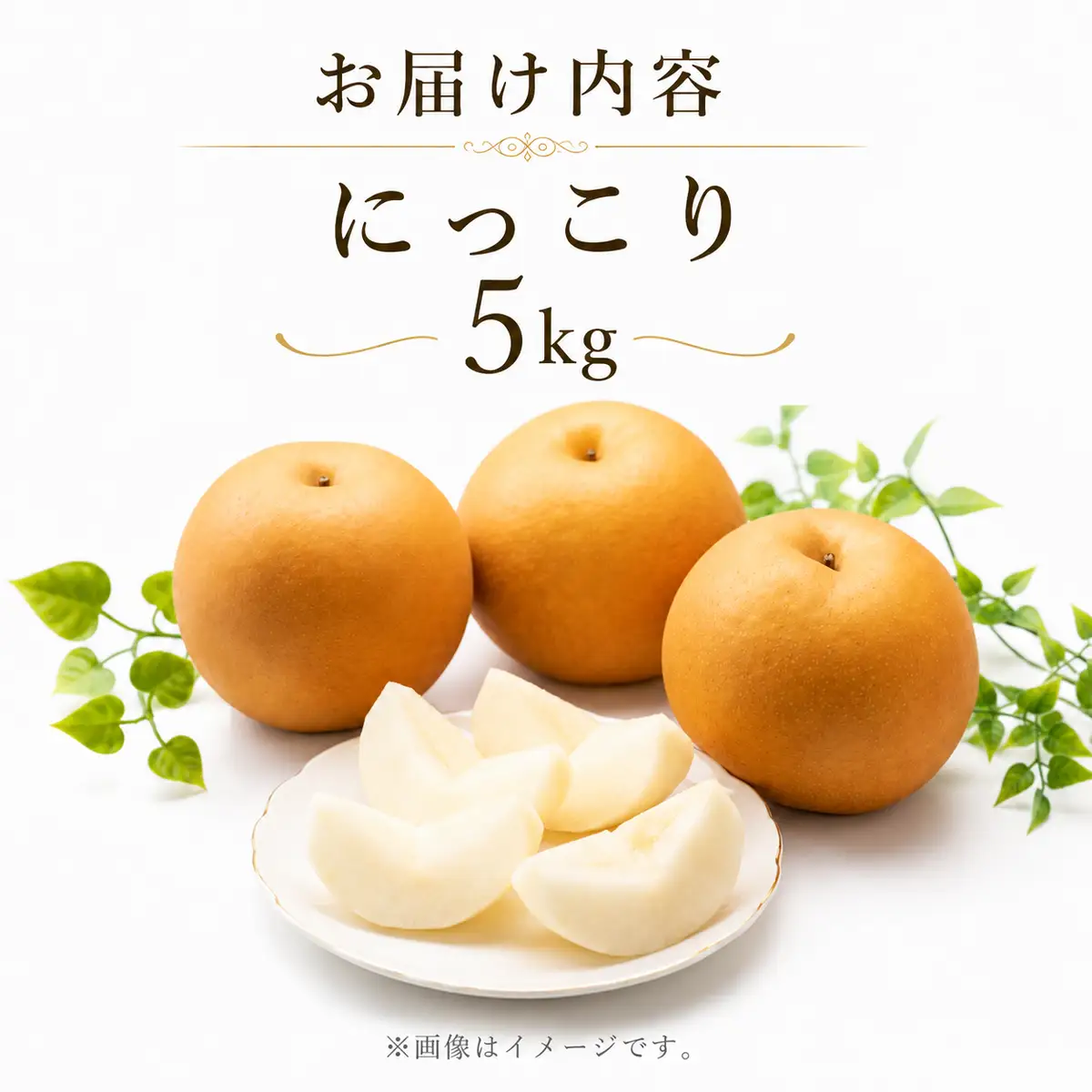 梨 果物 にっこり なし 5kg 1箱 フルーツ くだもの 秋 旬 果汁 甘み 茨城県産 期間限定 数量限定 【茨城県共通返礼品/かすみがうら市】（107-04）