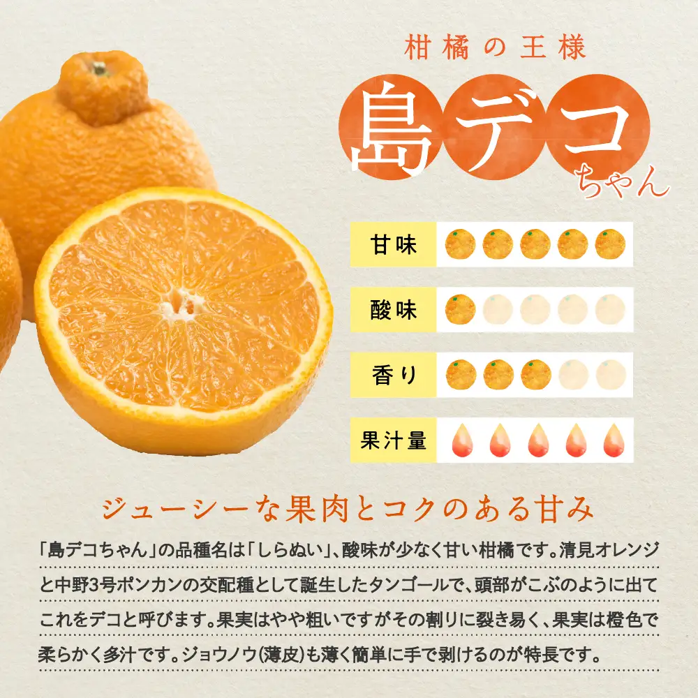 【先行受付】【2027年2月中旬～発送】島デコちゃん＆せとか－柑橘の王室セット 計約10kg 