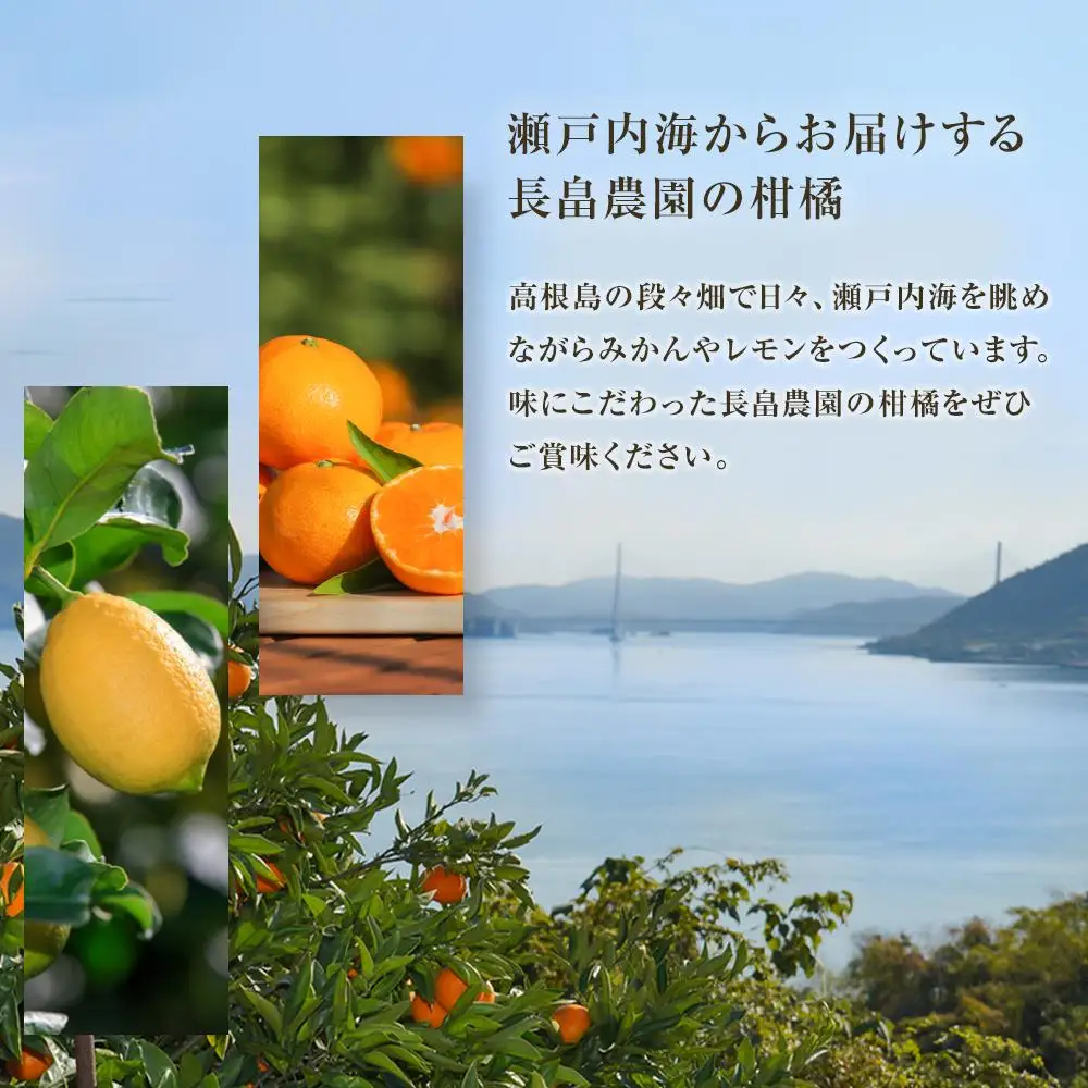 【先行予約】瀬戸田レモン3kg ＜2026年11月上旬より発送開始＞