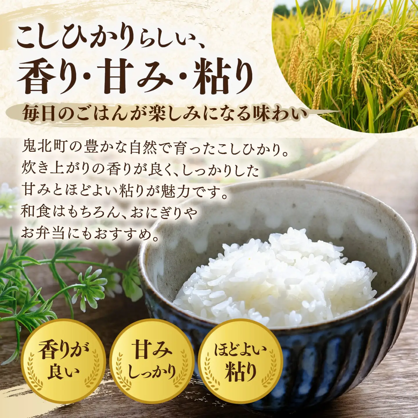 【先行予約】【令和8年産】鬼北町産 こしひかり 10kg（5kg×2袋） 【米屋仕上げ】| R8年産 新米 精米 白米 ご飯 米 コシヒカリ お米のまつや 株式会社ドイ 愛媛県鬼北町