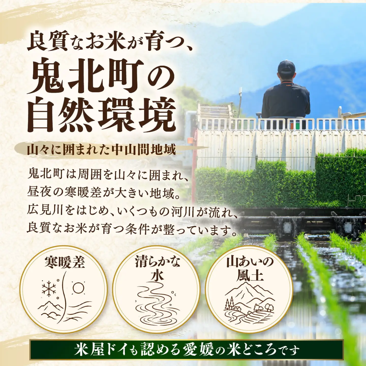 【先行予約】【令和8年産】鬼北町産 中平ファーム こしひかり 10kg （5kg×2袋）【米屋仕上げ】| R8年産 新米 精米 白米 ご飯 米 コシヒカリ お米のまつや 株式会社ドイ 愛媛県鬼北町