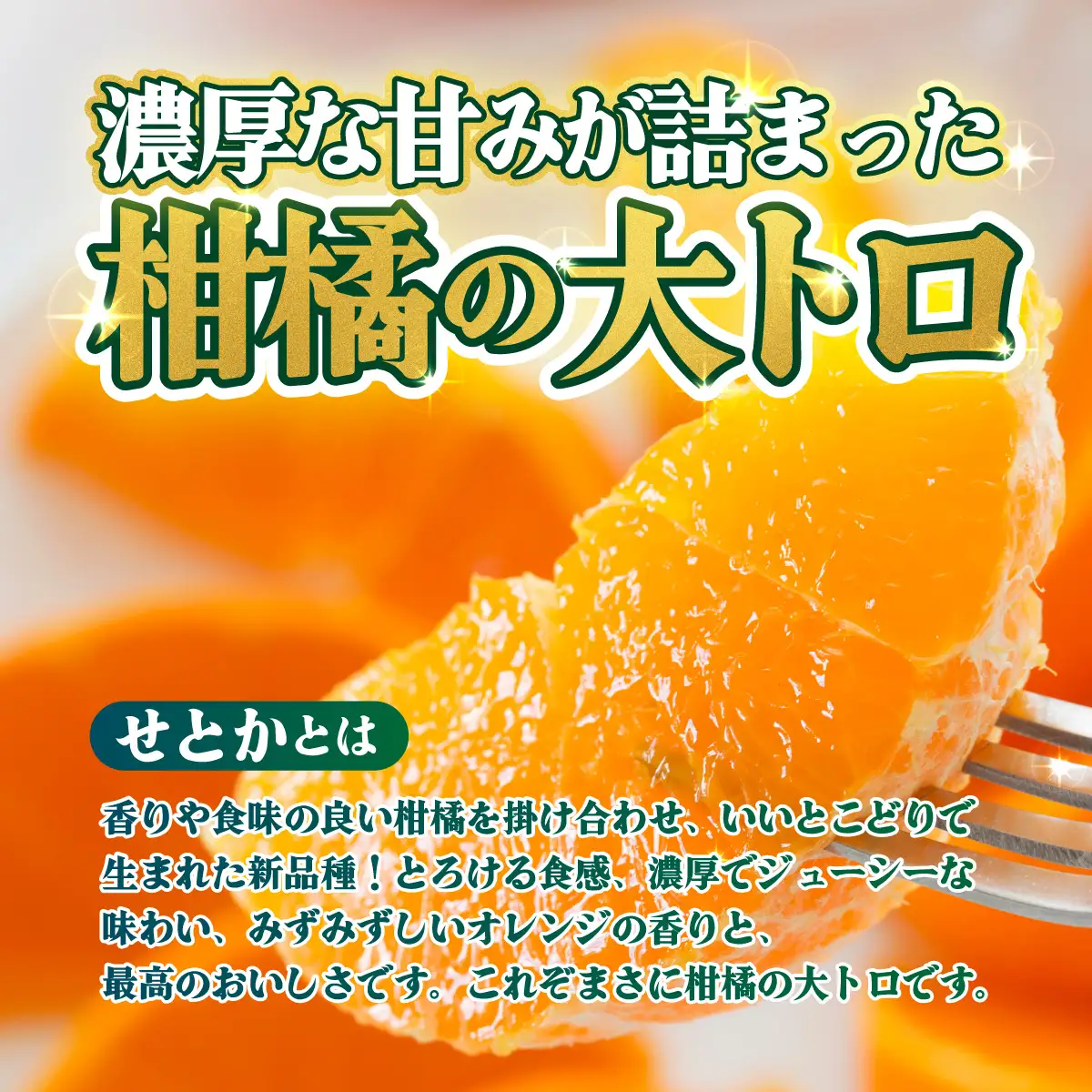 ＜【訳あり】愛媛県産 せとか 約1.5kg＞『2027年2月中旬～5月下旬迄に順次発送予定』わけあり 訳アリ 甘い みかんの大トロ みかん 蜜柑 果物 くだもの フルーツ ミカン 高級柑橘 とろける 食感 果汁 国産 株式会社三代目みかん職人 愛媛県 西予市【冷蔵】OSM0004