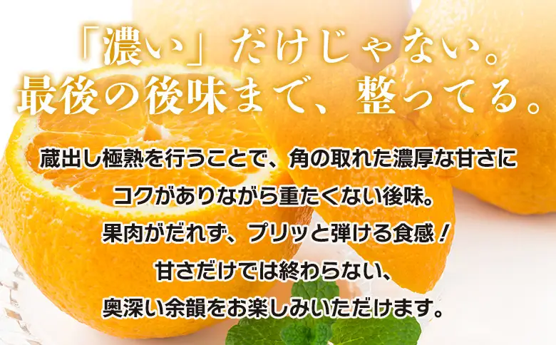 ＜蔵出し極熟デコ 約2kg＞『2027年4月上旬～8月下旬迄に順次発送予定』 でこぽん デコポン 不知火 しらぬい 熟成 くら 貯蔵 みかん 蜜柑 柑橘 かんきつ 果物 くだもの フルーツ ミカン 愛媛 国産 特産品 株式会社三代目みかん職人 愛媛県 西予市【冷蔵】OSM0017