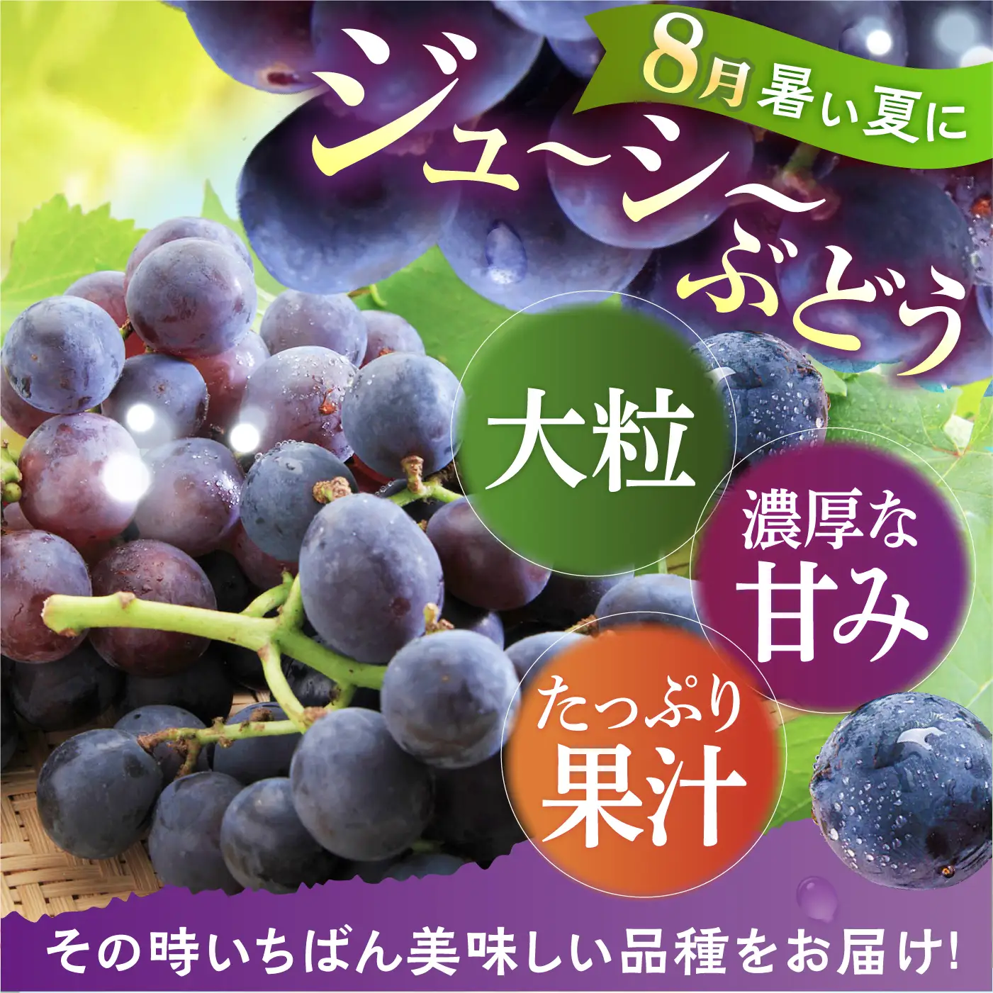 旬のフルーツ定期便 4回 フルーツ定期便 [ACAA494]