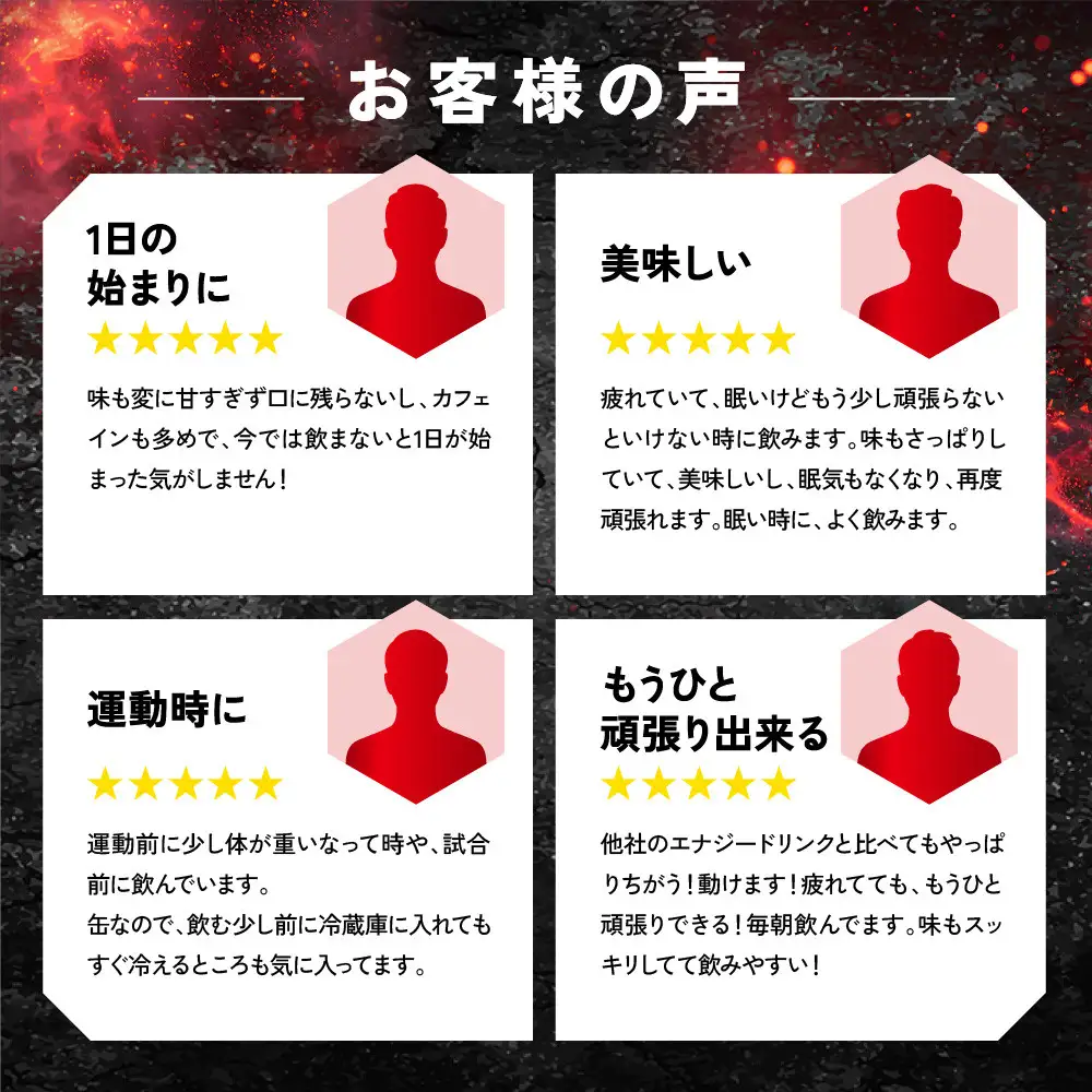 【ファイテン】エナジードライ 250ml×30本×1箱｜京都 人気ブランド エナジードリンク
