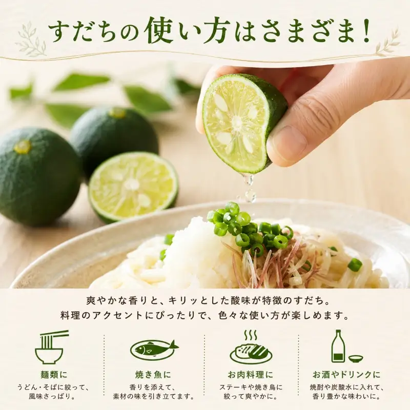 【2026年8月上旬より順次発送】すだち 2.5kg 家庭用 愛媛県産 | 不揃い キズあり 訳ありフルーツ 果物 くだもの 農家直送 スダチ すだち果汁 焼き魚 ぶり しいたけ お酒 酢 旬 刺身 ぶり 愛媛県 松山市【YBN003】