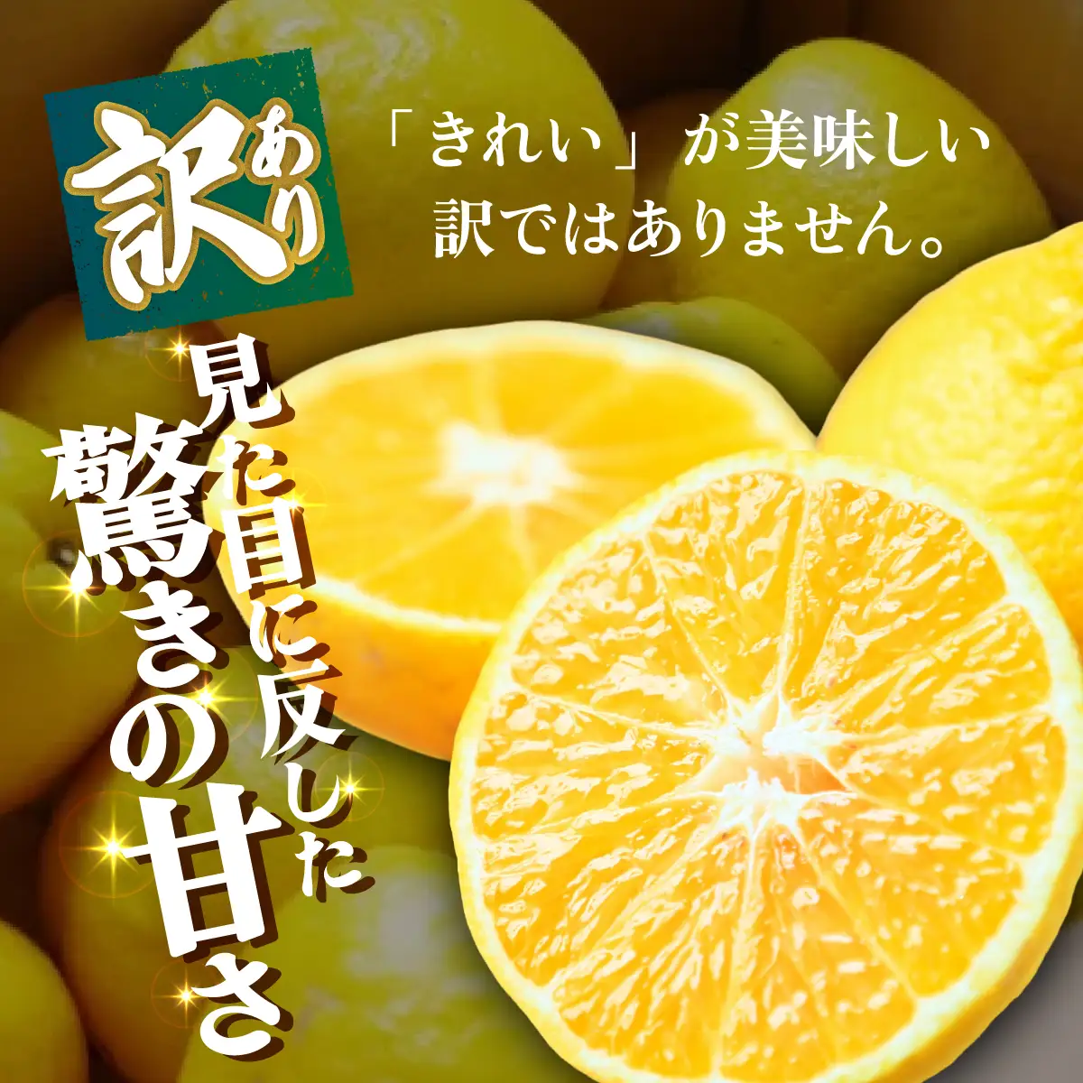 ＜【訳あり】愛媛県産 媛小春 約1.5kg＞『2027年2月上旬～3月下旬迄順次発送予定』わけあり 訳アリ 希少品種 ひめこはる 高級柑橘 みかん 蜜柑 果物 くだもの フルーツ ミカン 果汁 国産 特産品 株式会社三代目みかん職人 愛媛 西予市【冷蔵】OSM0007