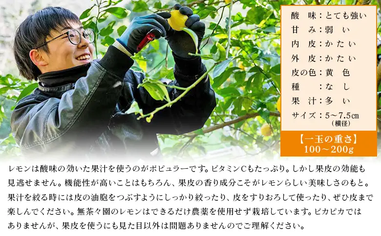 【先行予約】＜無茶々園のレモン 約1kg＋レモンの本＞ フルーツ 果物 くだもの れもん 檸檬 柑橘 香酸柑橘 国産 無茶々園 特産品 愛媛県 西予市【常温】『2027年1月～3月までに順次出荷予定』AMC0063