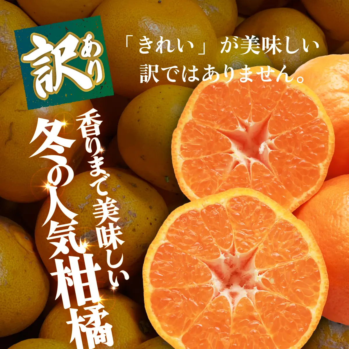 ＜【訳あり】愛媛県産 ポンカン 約1.5kg＞『2027年1月上旬～3月上旬迄順次発送予定』 わけあり 訳アリ 果肉 ぽんかん ジューシー みかん 蜜柑 果物 くだもの フルーツ ミカン 果汁 国産 特産品 株式会社三代目みかん職人 愛媛 西予市【常温】OSM0011
