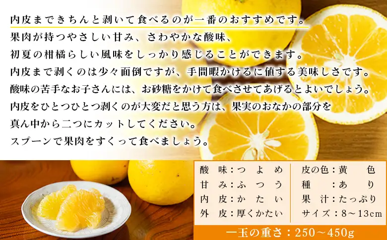  ＜無茶々園のジューシーフルーツ（河内晩柑）約5kg＞ フルーツ 果物 かわちばんかん みかん ミカン 蜜柑 柑橘 期間限定 季節限定 食べて応援 特産品 愛媛県 西予市 【常温】『2027年4月上旬～6月上旬迄に順次出荷予定』AMC0064