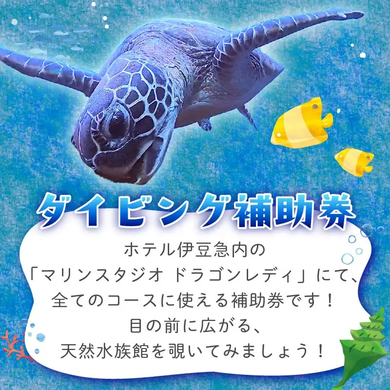 ダイビング 補助券 10,000円分 ダイビング 伊豆 下田