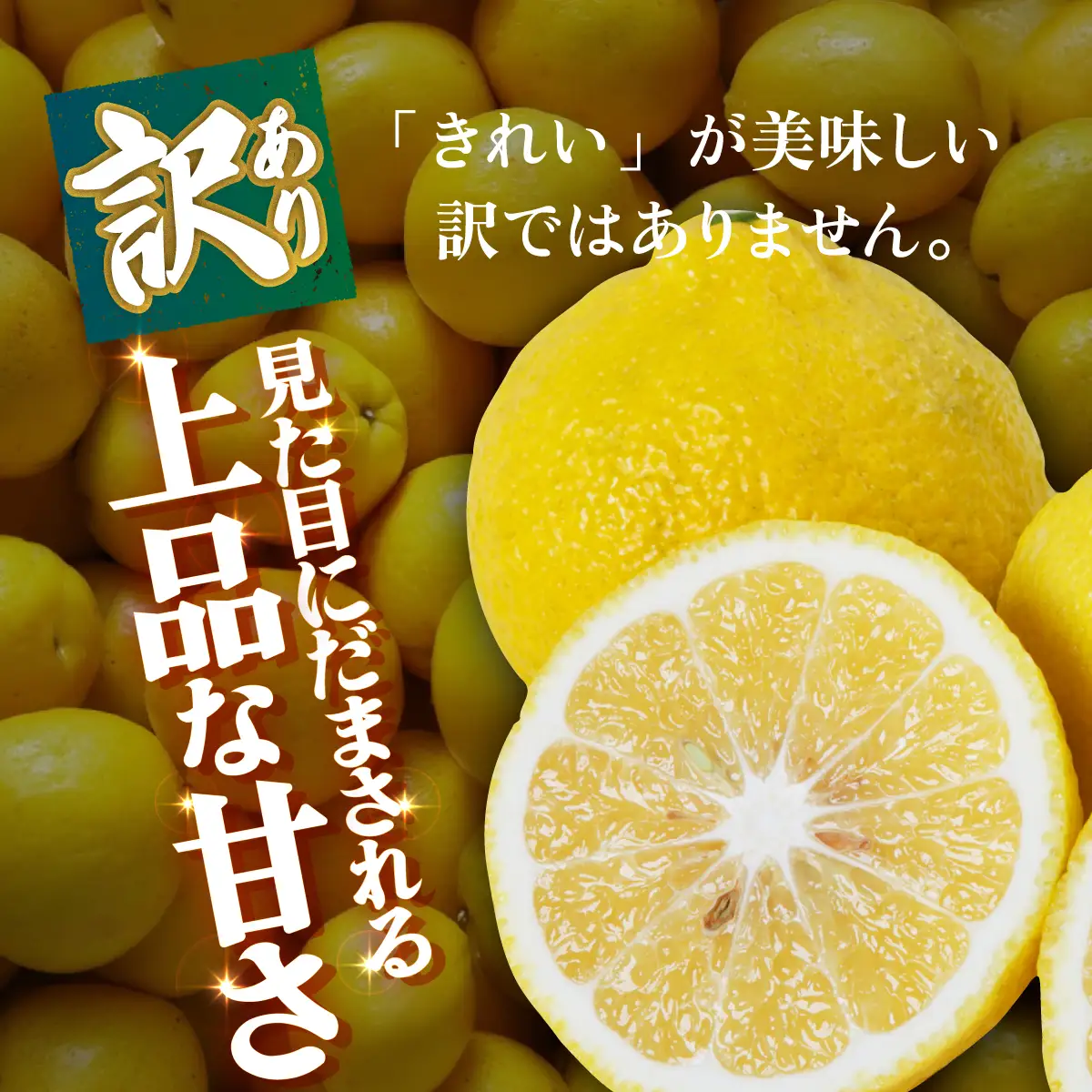＜【訳あり】愛媛県産 はるか 約3kg＞『2027年2月中旬～3月上旬迄順次発送予定』わけあり 訳アリ 果肉 ハルカ 産地直送 みかん 蜜柑 訳あり 果物 くだもの フルーツ ミカン 果汁 国産 特産品 株式会社三代目みかん職人 愛媛 西予市【常温】OSM0030