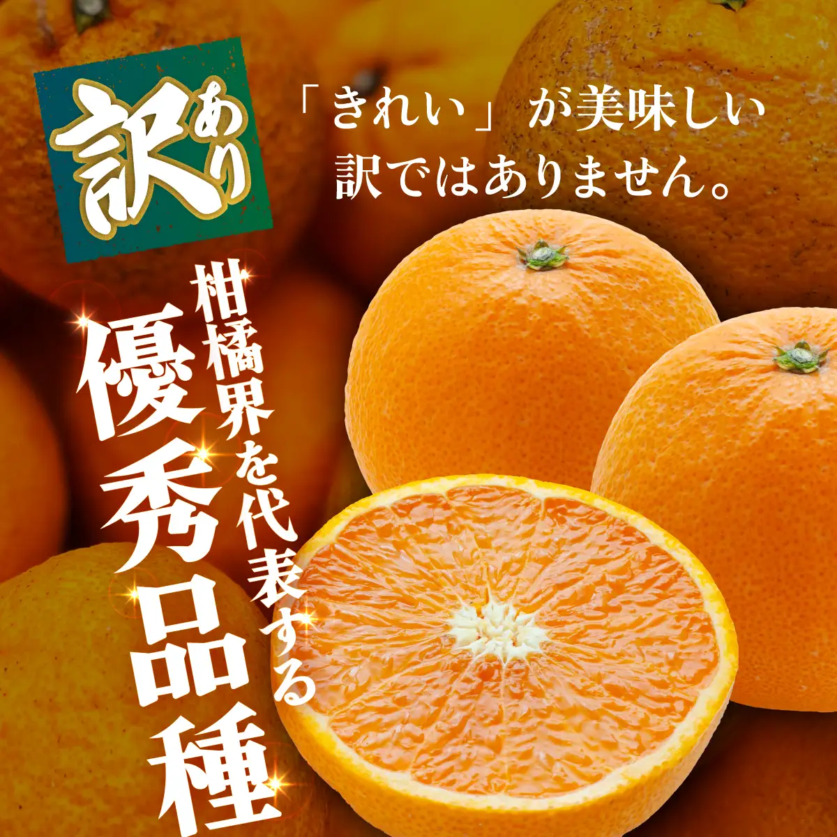 ＜【訳あり】愛媛県産 清見 約1.5kg＞『2027年2月上旬～4月下旬迄順次発送予定』 わけあり ジューシー 果肉 訳アリ きよみ みかん 柑橘 蜜柑 果物 くだもの フルーツ ミカン 果汁 国産 特産品 株式会社三代目みかん職人 愛媛 西予市【常温】OSM0016