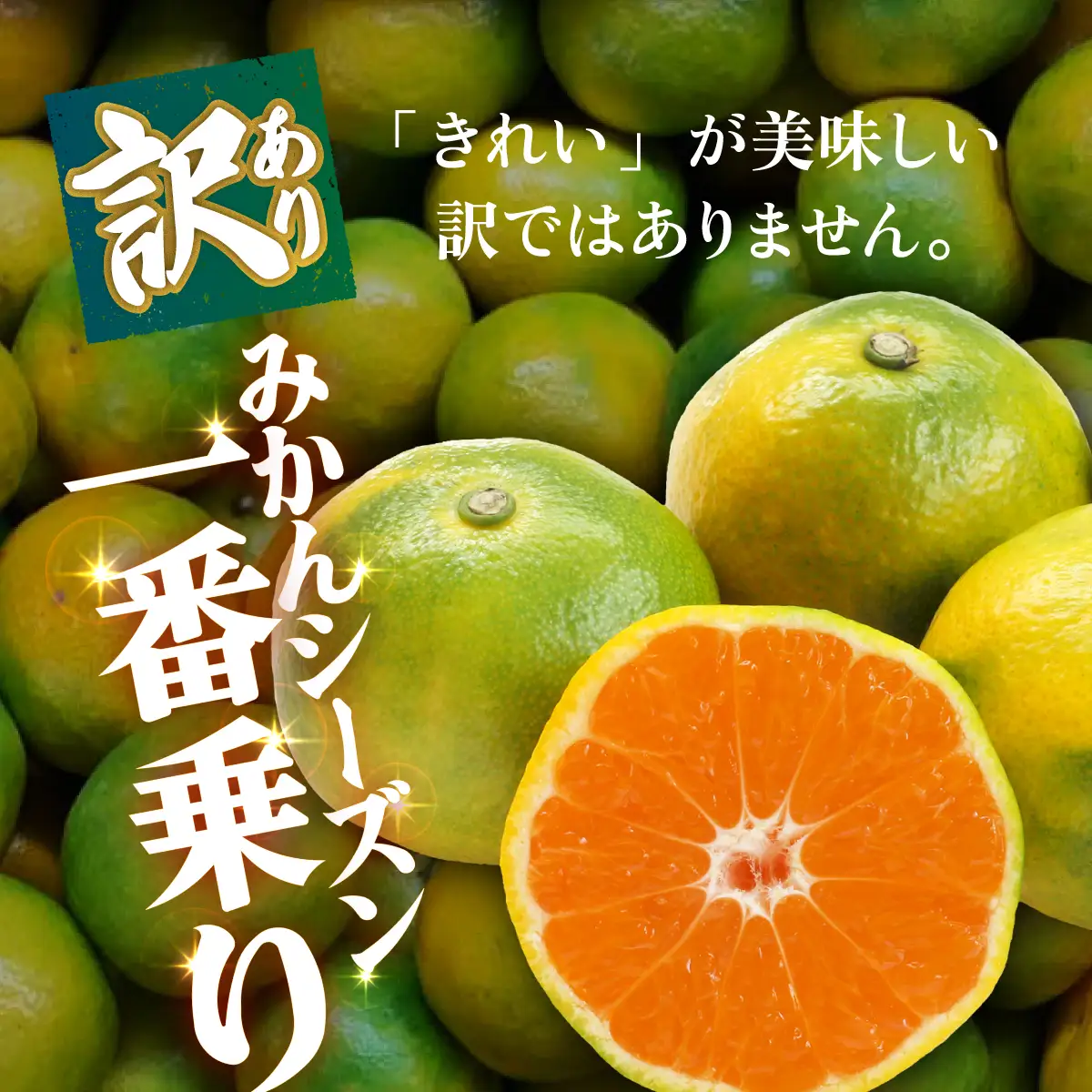 ＜【訳あり】愛媛県産 極早生 約5kg＞『2026年10月上旬～11月下旬迄順次発送予定』わけあり 訳アリ あまずっぱい 甘酸っぱい ごくわせ みかん 蜜柑 訳あり 果物 くだもの フルーツ ミカン 果汁 国産 特産品 株式会社三代目みかん職人 愛媛 西予市【常温】OSM0026