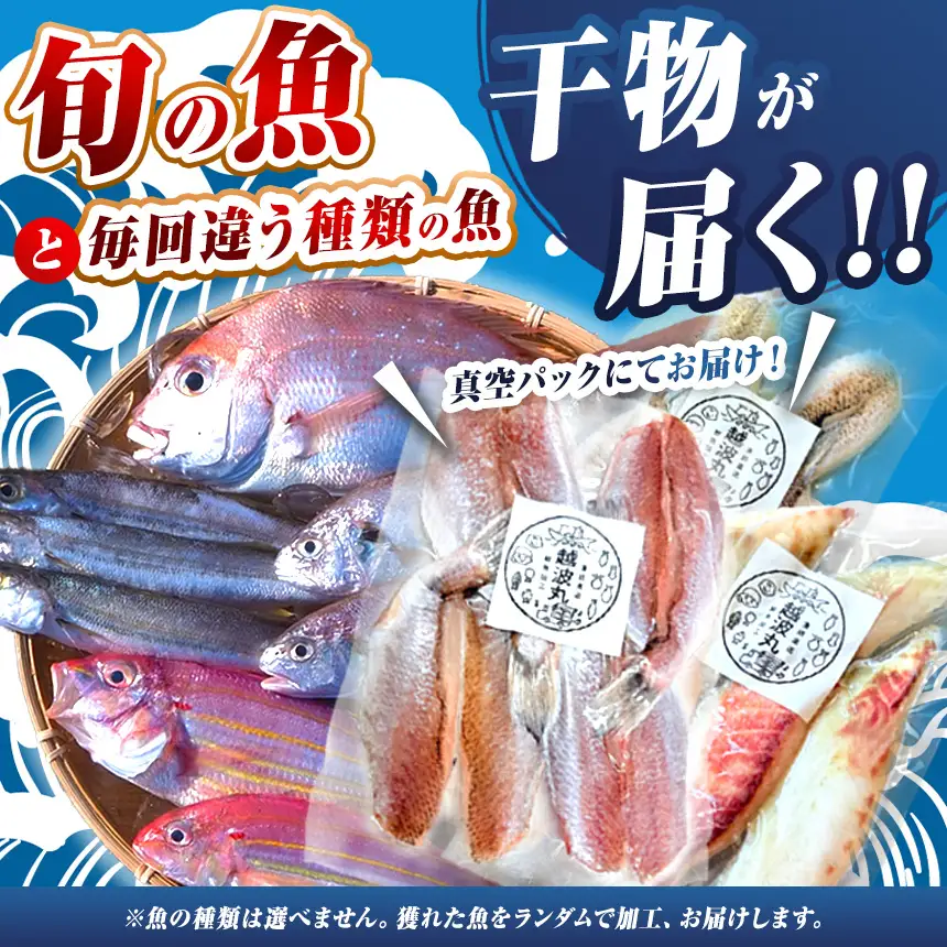 海の幸 干物 セット 3パック