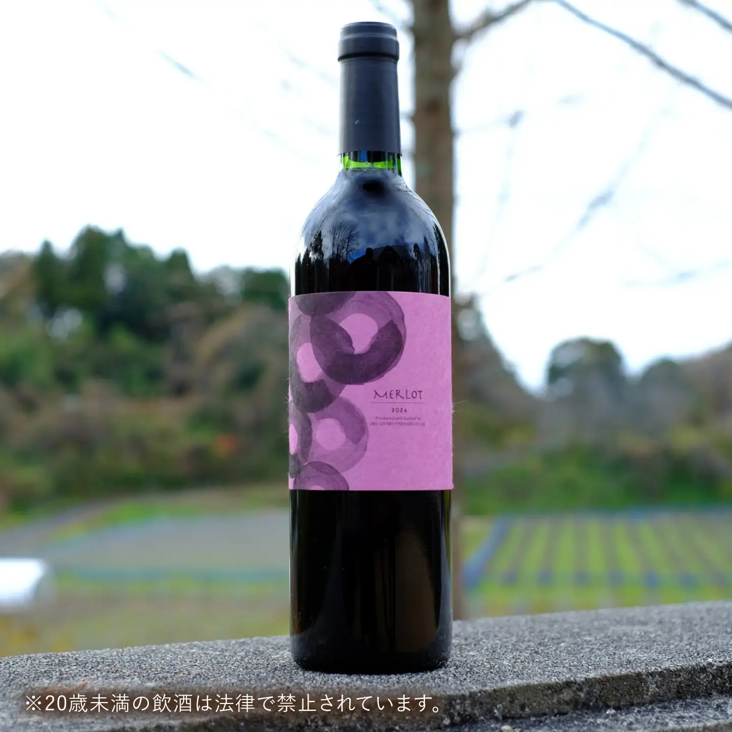 メルロ 3本 750ml×3 赤ワイン [AICS102]