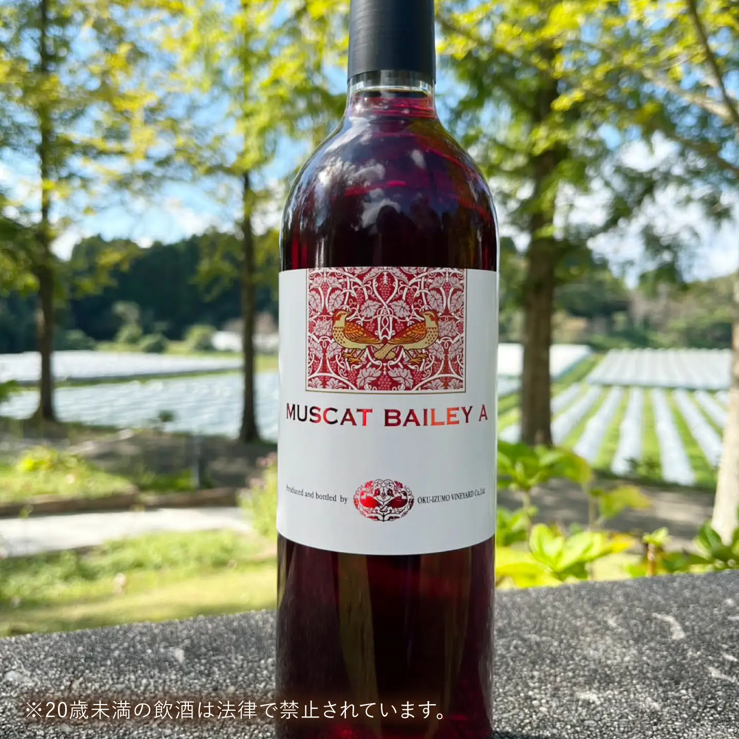 【贈答用】マスカット・ベーリーA　1本 750ml 赤ワイン 国産 島根県雲南市/有限会社奥出雲葡萄園[AICS125]