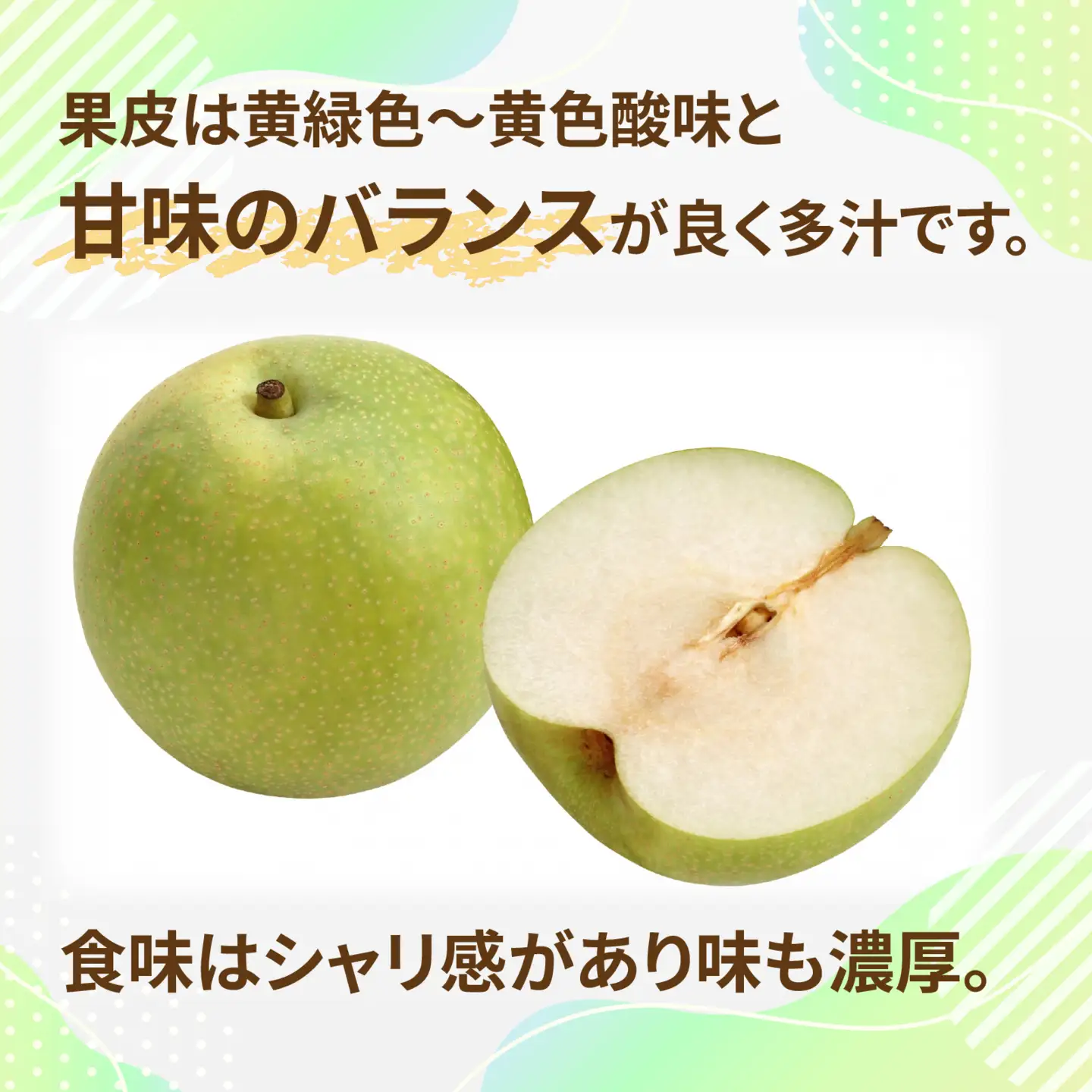 【先行予約】二十世紀梨（香住梨） 3kg ※2026年9月より順次発送 