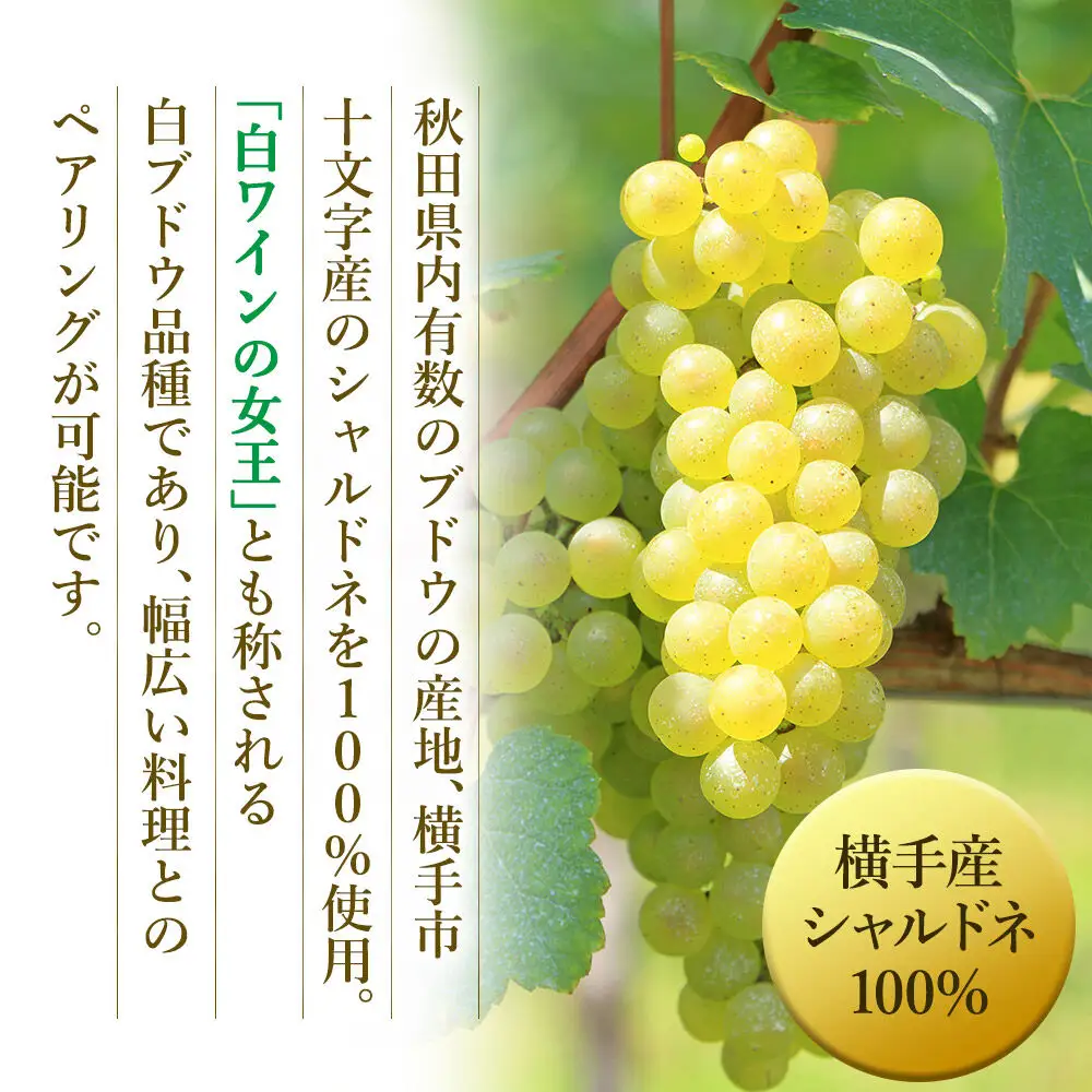 白ワイン シャルドネ 720ml×2本