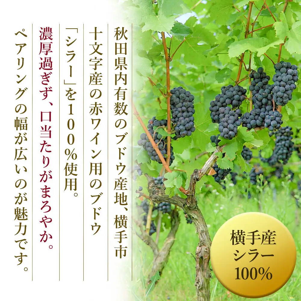 赤ワイン シラー 720ml×2本
