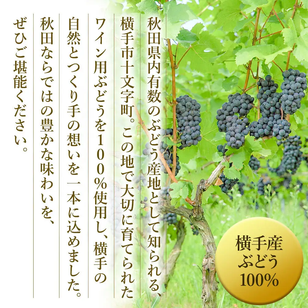 赤白ワイン 飲み比べ 2本セット シャルドネ・メルロー樽熟成 720ml×各1本