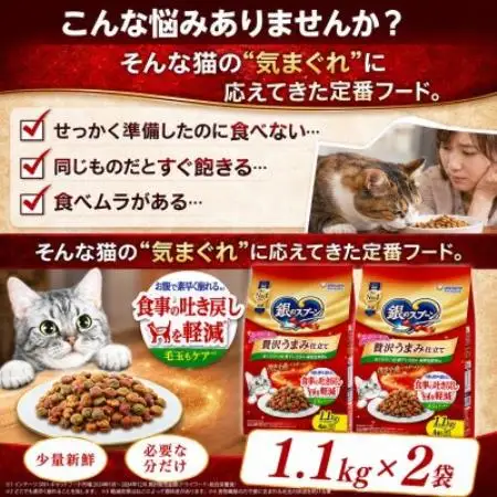 銀のスプーン 贅沢うまみ仕立て 食事の吐き戻し軽減フード ささみ・緑黄色野菜入り 1.1kg×2袋【1748827】