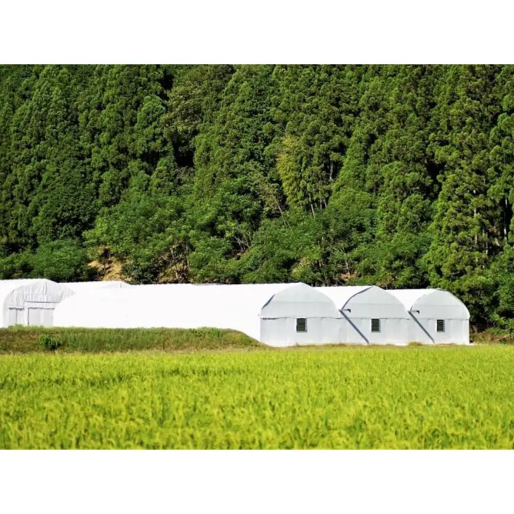 【兵庫県相生市】深山農園の 「収穫体験ペアチケット」