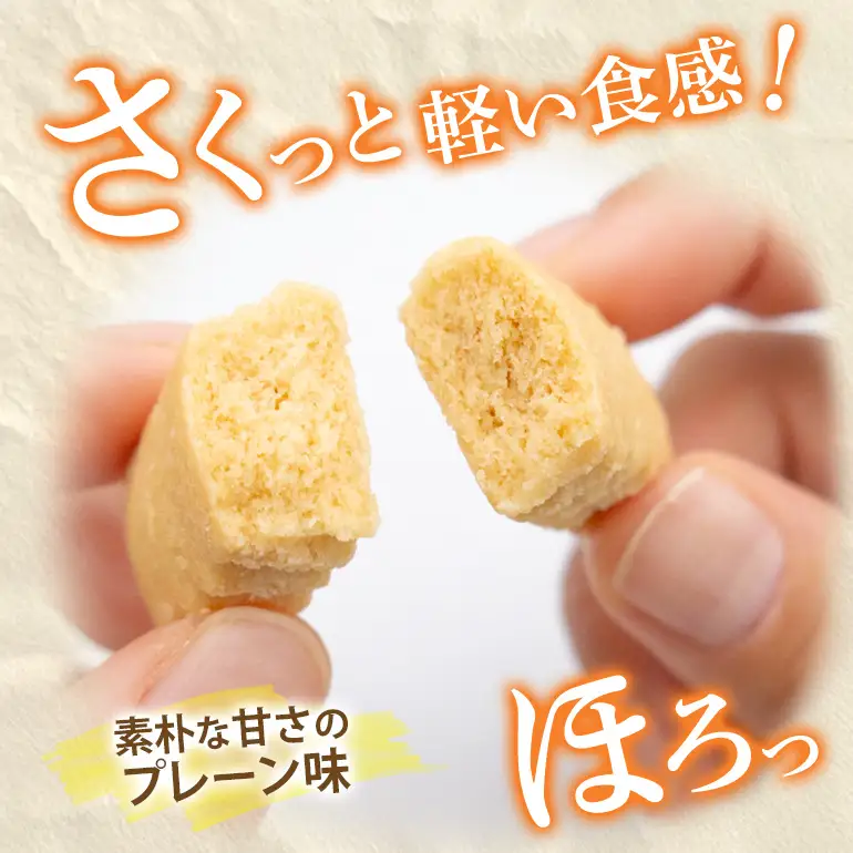 訳あり ちんすこう(10袋入り)