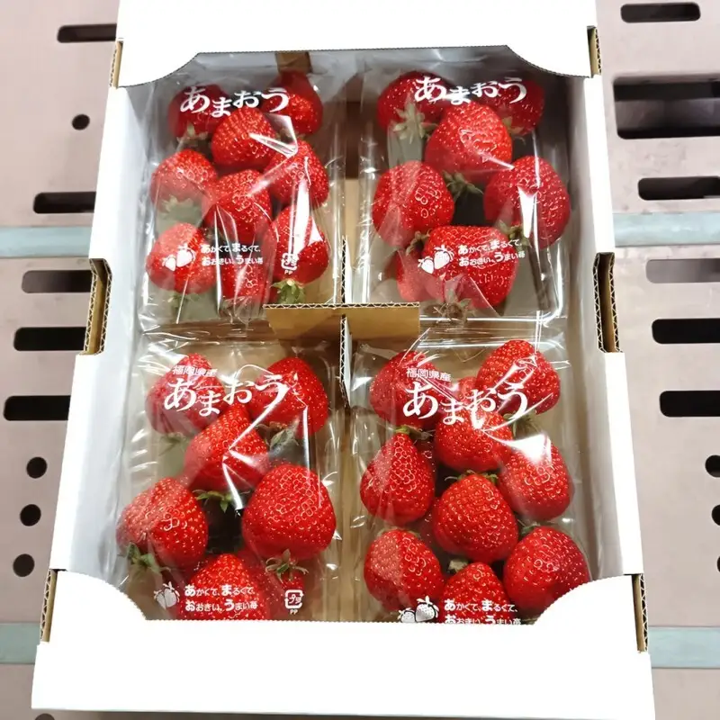 【訳あり】 あまおう 4パック いちご 冷蔵便 270g×4パック(1.08kg) 訳アリ