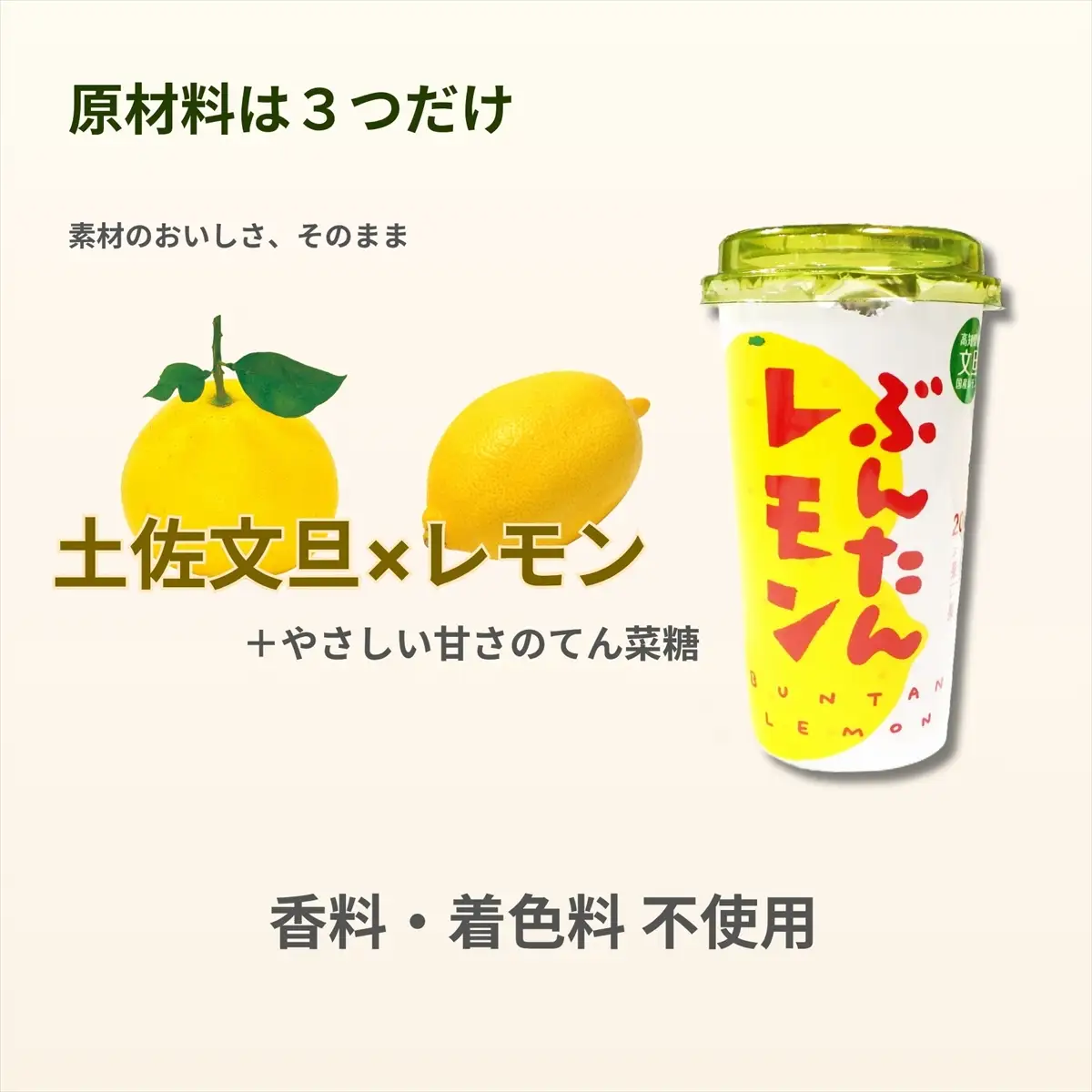ぶんたんレモン　ストロータイプ　200ml　12本入り（高知アイス）