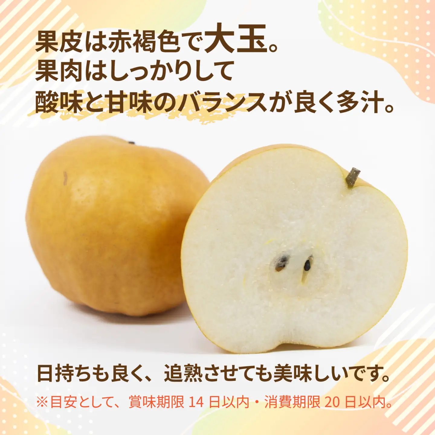 【先行予約】新興梨 (香住梨) 5kg  ※2026年10月15日より順次発送