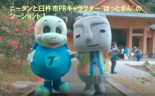 大分トリニータ 公式マスコットぬいぐるみニータン（20cm）1体