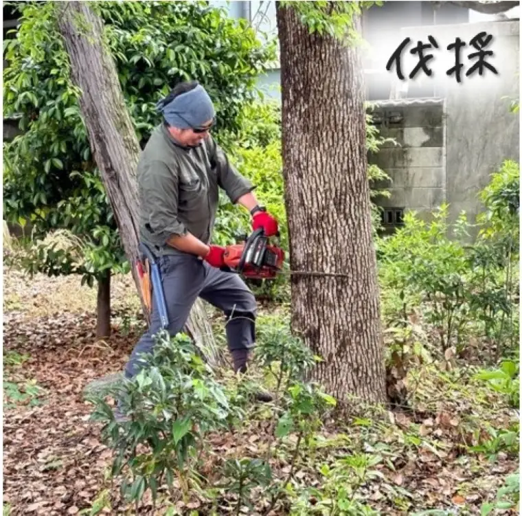 お庭のお手入れサービス（剪定・伐採・除草）50,000円分【蒲郡市内対象】_【G0783】