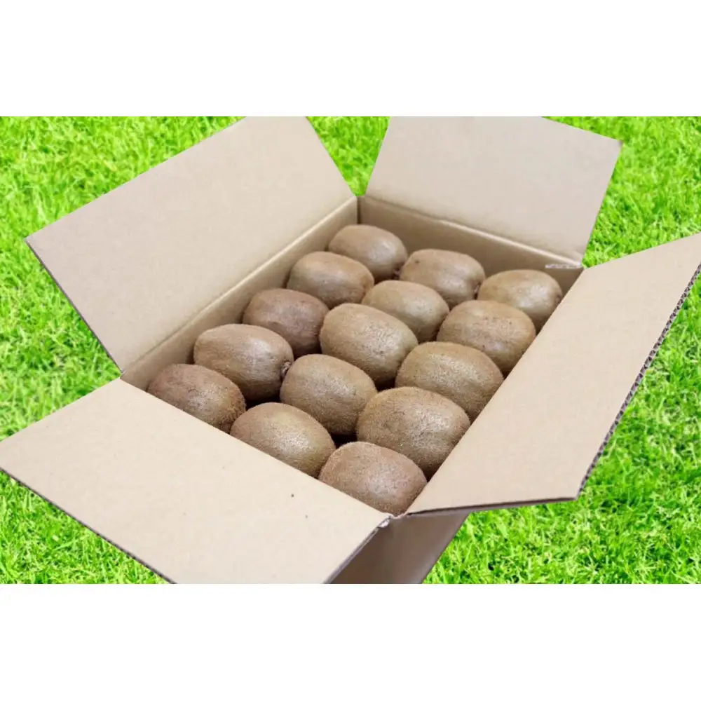 ［先行受付］［まごころ手選別］和歌山産 キウイフルーツ 約3.6kg 秀品［US70］