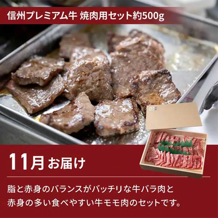 【2回定期便】信州プレミアム牛肉（焼肉用500g）・シャインマスカット2房｜【小田切牧場／JA信州うえだ】ぶどう 葡萄 大粒 果物 フルーツ 和牛 頒布会 長野