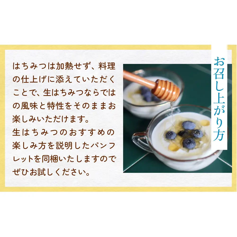 生はちみつ：アカシア（160g） 富山県 氷見市 蜂蜜 国産 ハチミツ