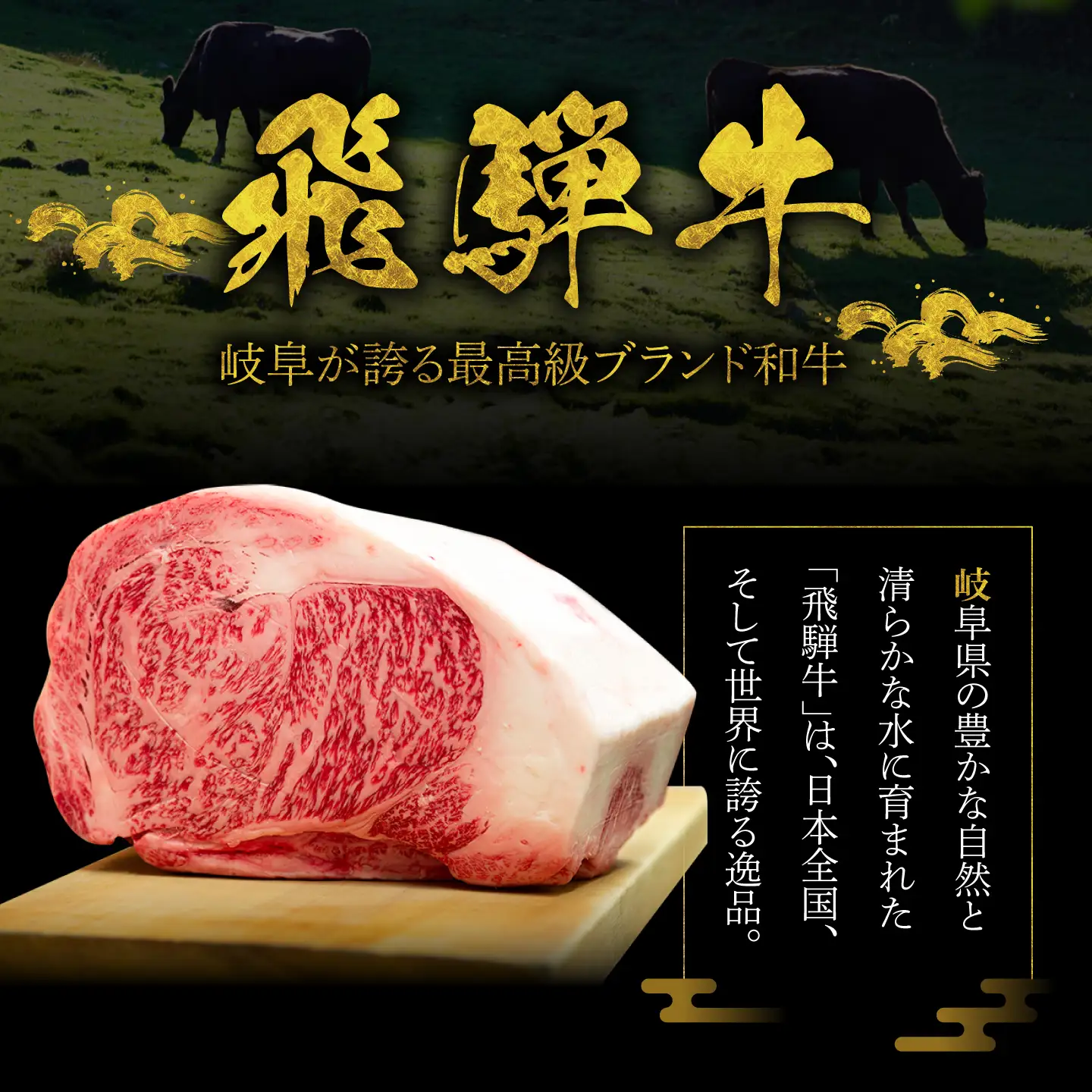 A5等級 飛騨牛 サイコロステーキ 霜降り 500g (約250g×2P) 瑞浪市 / マルチョウ渡辺精肉店 牛肉 和牛 国産 ギフト お取り寄せ[AZCW006]