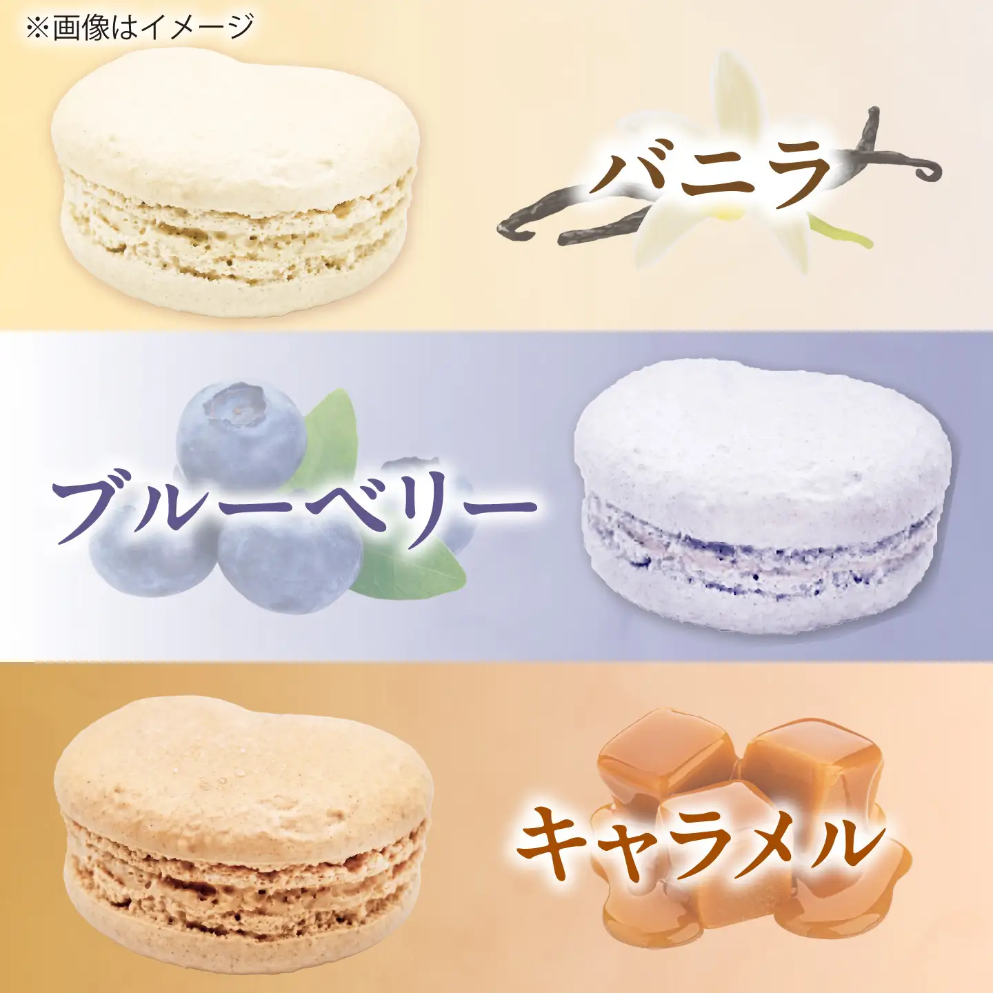 マカロン 10個入り 洋菓子 マカロン スイーツ 愛西市 / スイーツカフェハル[AEDP005]