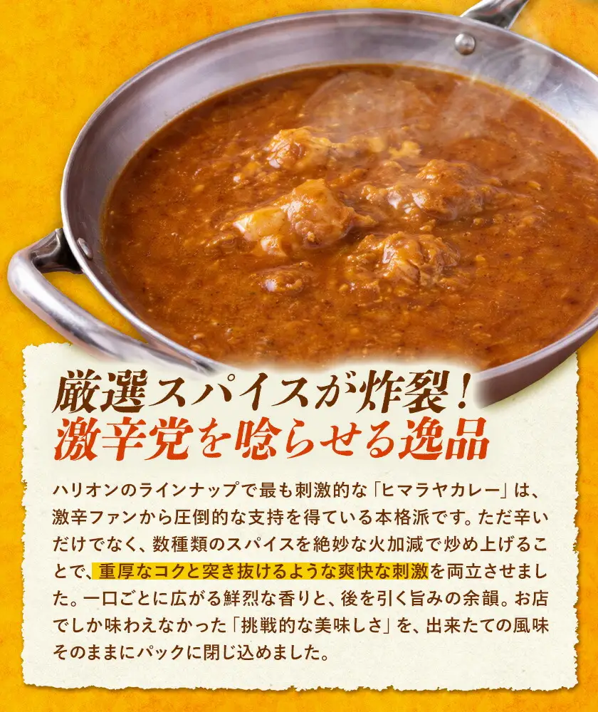 ヒマラヤカレー 激辛 2食セット カレー インド 本格的 ジャムナコーポレーション株式会社