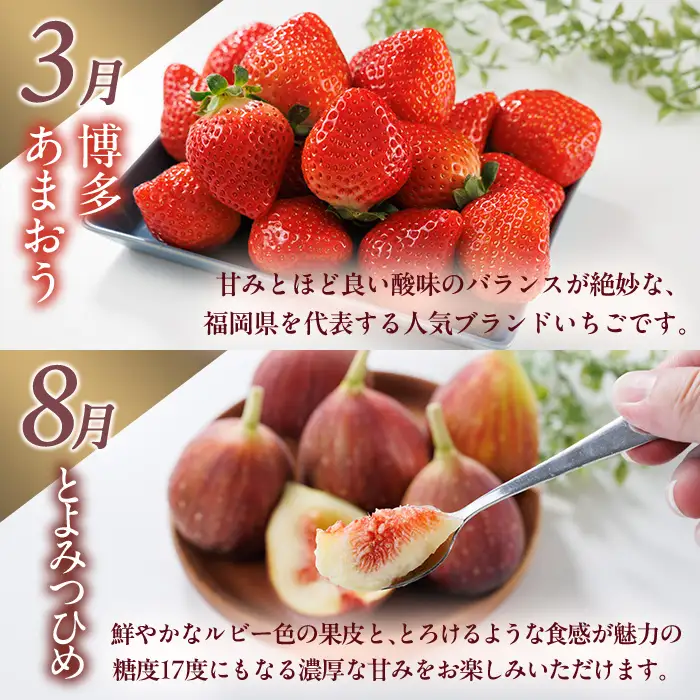 ＜全4回・定期便＞ 福岡ブランド！季節のご褒美 フルーツ定期便 (総計約8.8kg) あまおう とよみつひめ 早味かん 甘うぃ いちご 苺 いちじく みかん 蜜柑 キウイ フルーツ 果物 くだもの ＜離島配送不可＞【ksg1918】【農産物直売所ほたるの里】