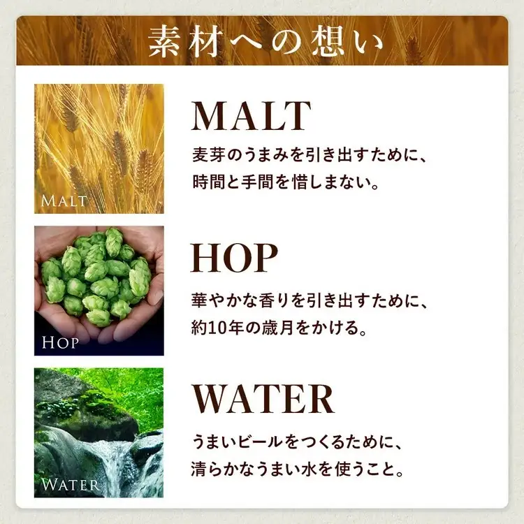 【12ヶ月定期便】サントリー ザ・プレミアム・モルツ 500ml×24本